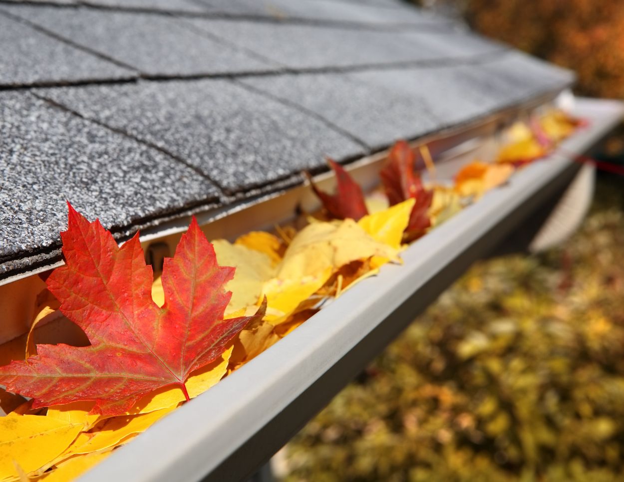Fall Gutter Clean